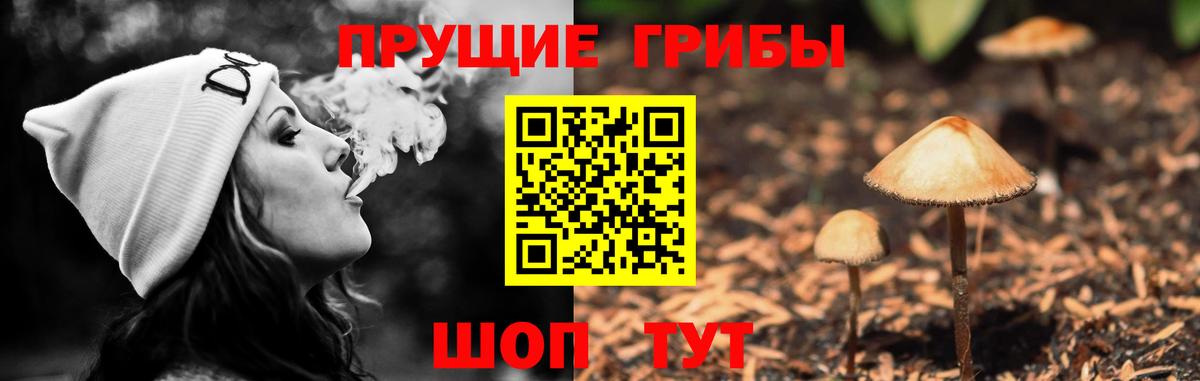 Псилоцибиновые грибы Psilocybe  Галлюциногенные грибы ЛСД  Будённовск  Вход с VPN 