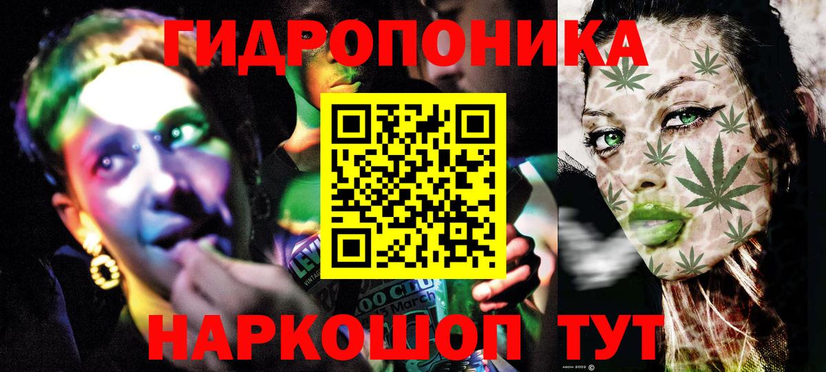 Каннабис конопля  Бошки марихуана Bruce Banner  Конопля тримм  Вход с VPN  Бошки марихуана Amnesia  Будённовск 